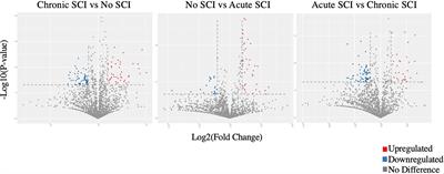 MicroRNA-148a-3p is a candidate mediator of increased bone marrow adiposity and bone loss following spinal cord injury